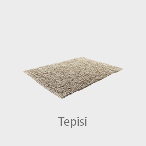 Tepisi