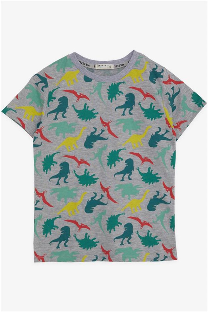 Children's t-shirt for boys - Gray melange #381144